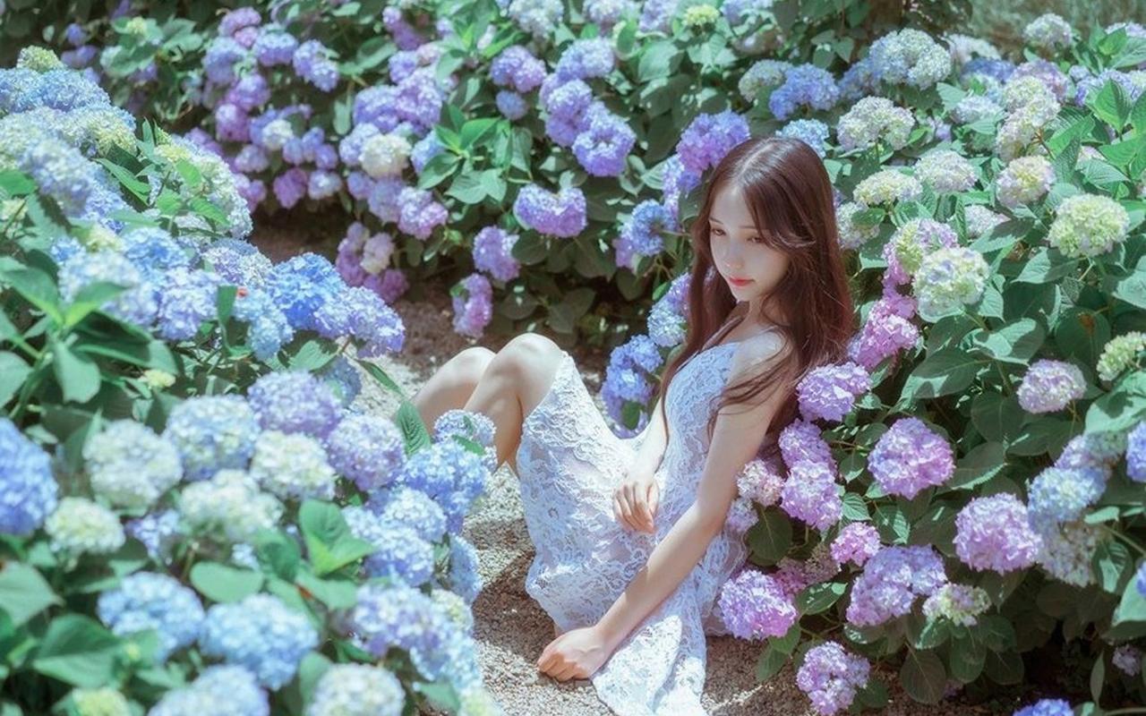 拓展合作新机遇 第八届进博会招商路演走进河北